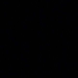 Meet your Posher, Layla